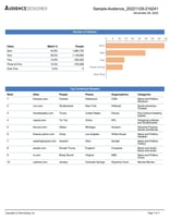 ads_semcasting_contextual_sample_rpt